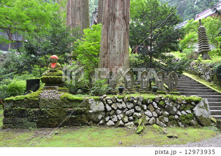 五泉市慈光寺 12973935