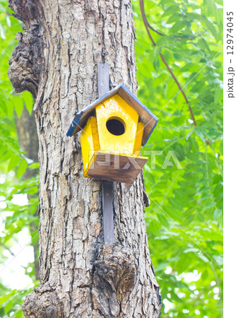 Colorful birdhouse made of wood up in a tree. Colorful birdhouse made of wood up in a tree. 12974045