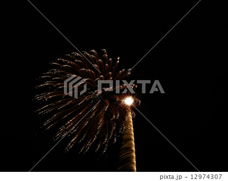 湘南ひらつか花火大会 湘南ひらつか花火大会 12974307