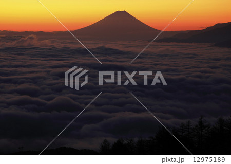 朝焼けの大雲海 12975189