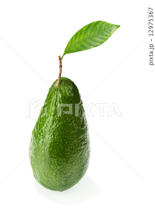 Ripe Green Avocado with Leaves Isolated on White Background. 12975367
