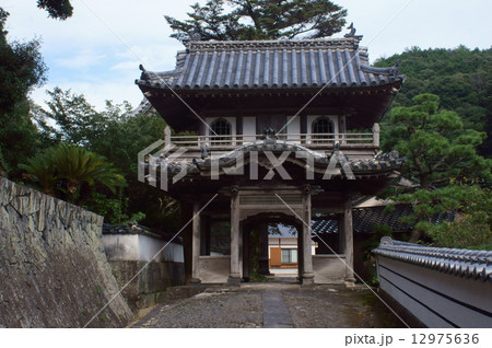 西円寺山門 12975636