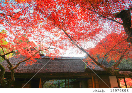 九年庵の秋 12976398