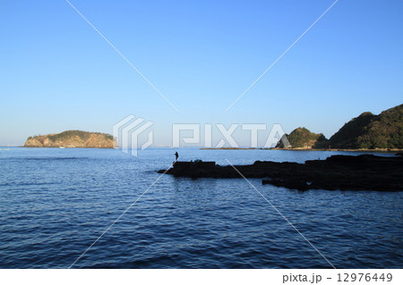 安房勝山の海岸 12976449