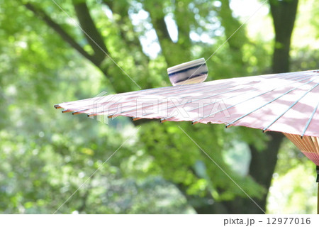 傘まわし 12977016