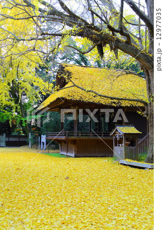 玉敷神社　～晩秋2014～ 12977035