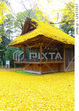 玉敷神社 ~晩秋2014~ 玉敷神社 ~晩秋2014~ 12977037
