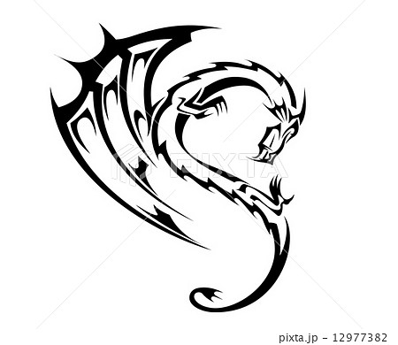 little dragon 12977382