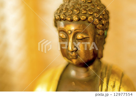Buddha 12977554