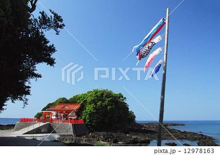 鹿児島・釜蓋神社と鯉のぼり 鹿児島・釜蓋神社と鯉のぼり 12978163