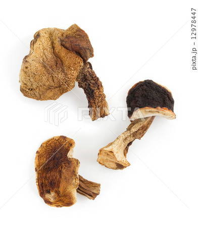 dried mushrooms on white 12978447