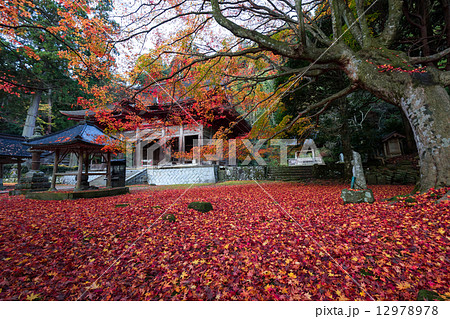 晩秋の鰐淵寺 12978978