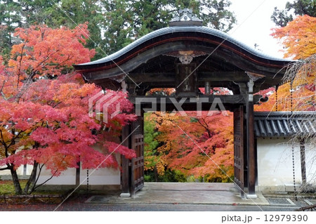 二尊院 二尊院 12979390