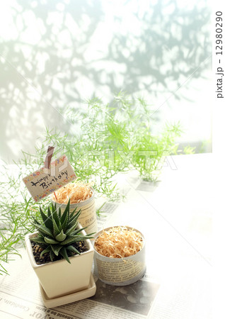 お誕生日 12980290