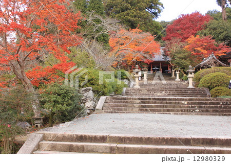 大阪府河内長野市観心寺境内 12980329