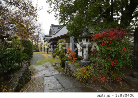 薬王院 市川三郷町 山梨 薬王院 市川三郷町 山梨 12980406