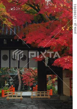 紅葉の今宮神社 12980901