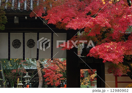 紅葉の今宮神社 12980902