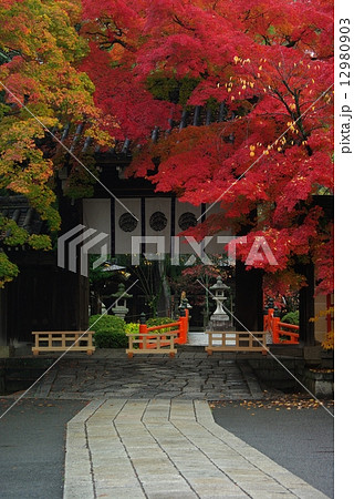 紅葉の今宮神社 12980903