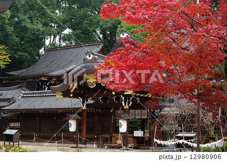 紅葉の今宮神社 12980906