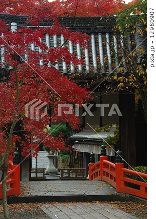 紅葉の今宮神社 12980907