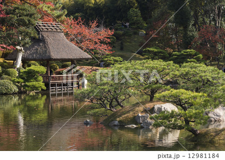 秋の縮景園 12981184