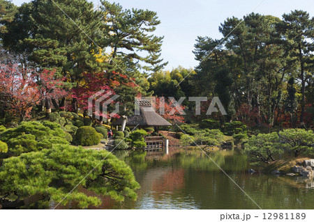 秋の縮景園 秋の縮景園 12981189