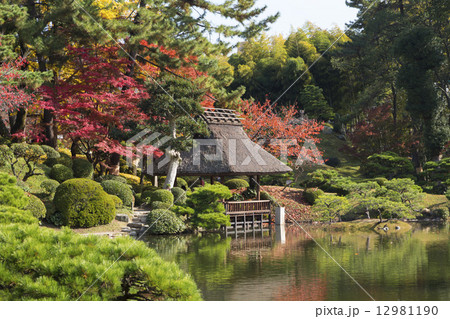 秋の縮景園 12981190