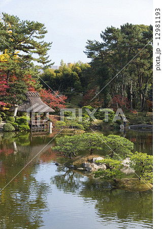 秋の縮景園 12981193