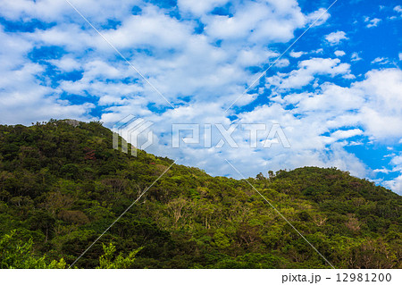円錐カルストの山々 沖縄県 本部町 12981200
