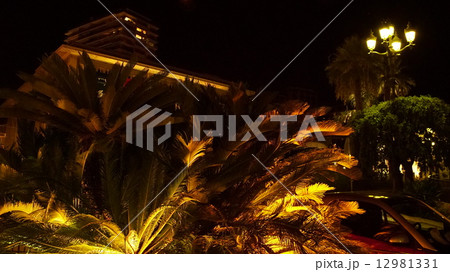 モナコ　街並 12981331