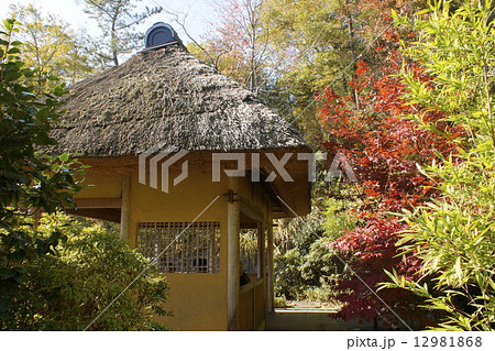 茅葺の建物 12981868