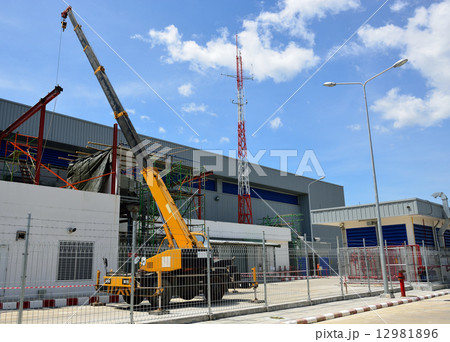 The crane 12981896