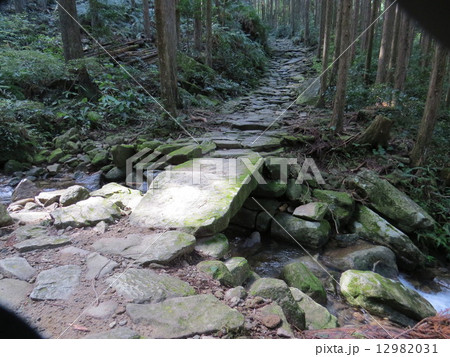 熊野古道伊勢路、馬越峠、 12982031