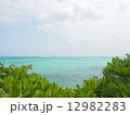 宮古島の海 12982283