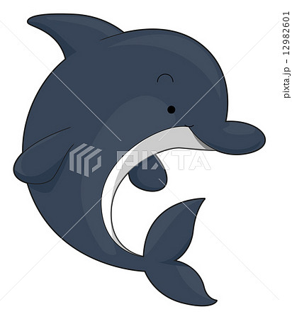 Cute Dolphin Cute Dolphin 12982601