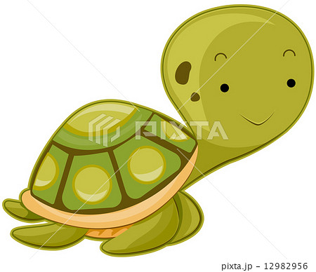 Cute Sea Turtle 12982956