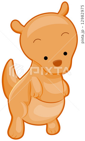 Cute Kangaroo 12982975