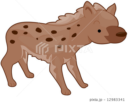 Hyena Hyena 12983341