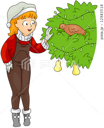 12 Days of Christmas 12983518