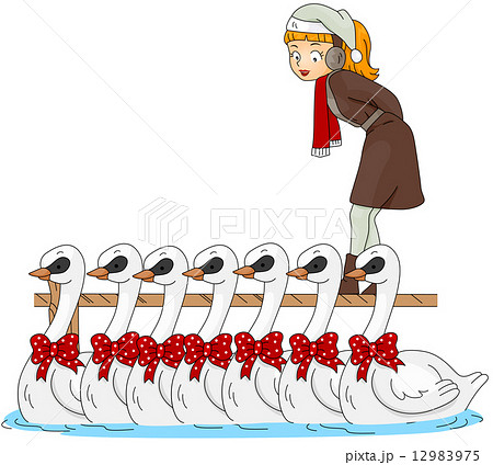 12 Days of Christmas 12 Days of Christmas 12983975