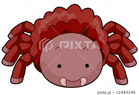 Tarantulaのイラスト素材