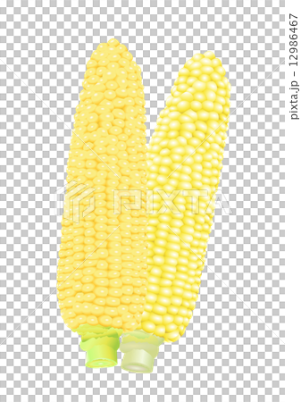 玉米5 玉米5 12986467