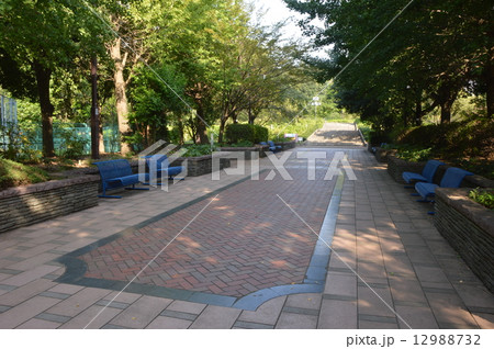 相模原北公園　相模原市 12988732
