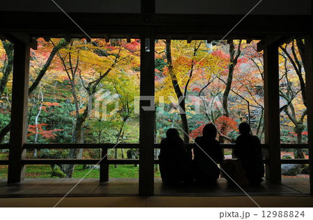 大宰府　光明禅寺 12988824
