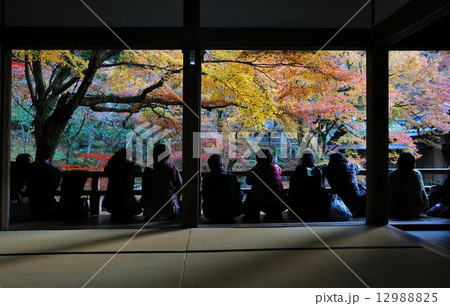 大宰府　光明禅寺 12988825