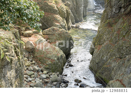 耶馬溪・魔林峡の峡谷 12988831