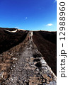 野生の長城 12988960