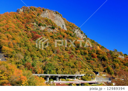 岩殿山の紅葉 12989394