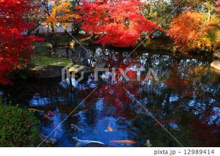 漢陽寺の紅葉 12989414